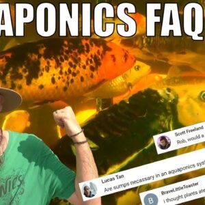 Aquaponics Q&A | Bell Siphons - Breeding Fish - Are Sumps Necessary + MORE