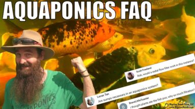 Aquaponics Q&A | Bell Siphons - Breeding Fish - Are Sumps Necessary + MORE