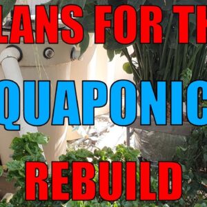 Aquaponics Redesign | The Rough Draft