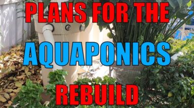 Aquaponics Redesign | The Rough Draft