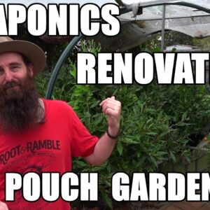 Aquaponics, Renovation & Root Pouch Garden Update