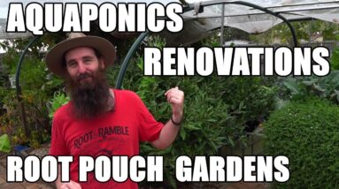 Aquaponics, Renovation & Root Pouch Garden Update