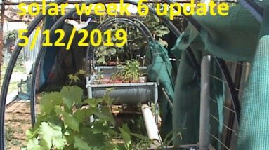 Aquaponics solar week 6 update 5/12/2019