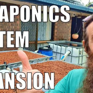 Aquaponics System | Chop & Flip Upgrade