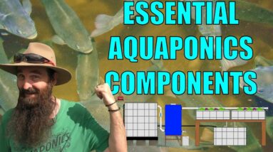 Aquaponics System Design - 9 Essential components