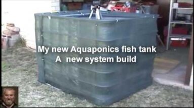 Aquaponics System Design - IBC Fish Tanks build