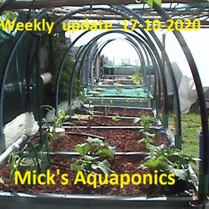 Aquaponics System update 17/10/2020