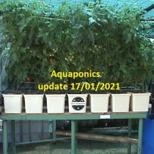 Aquaponics   update 17/01/2021