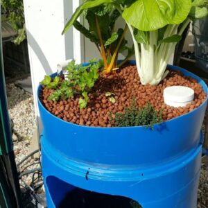 Barrel Aquaponics update - Supporters Clip 2016