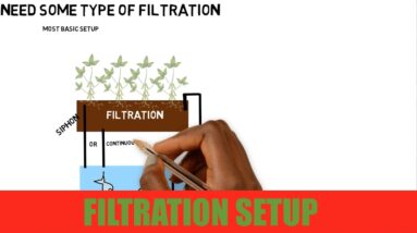 Basic Filtration Setup | Ask The Aquaponics God Ep12