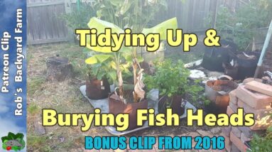 Burying Fish Heads & Container Garden - Supporters Clip October 2016