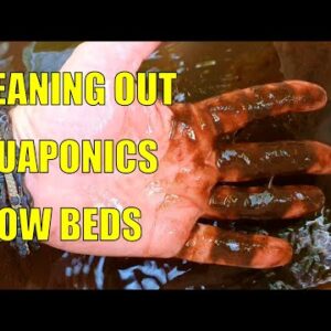 Cleaning Out the Aquaponics & Fires In Australia