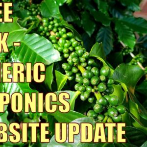 Coffee Bush Papaya Tree, "Aquaponics" & Website Update