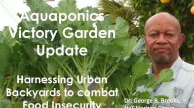 12:4:2020 COMBATING FOOD INSECURITY - UPDATE KIDDIE POOL AQUAPONICS  VICTORY GARDEN