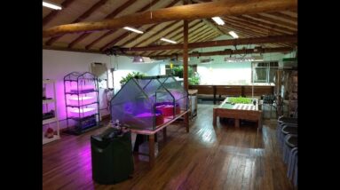 DEMO Aquaponics promo