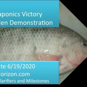 AQUAPONICS VICTORY GARDEN UPDATE 6:19:2020 : CLEAR H2O & THE NXT OPPORTUNITY IN AQUAPONICS IS FISH