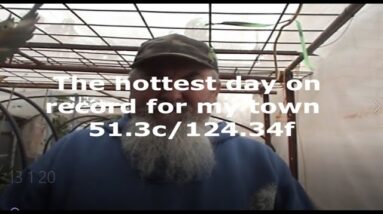 Disaster Heat Wave Aquaponics Solar  update 5/1/2020