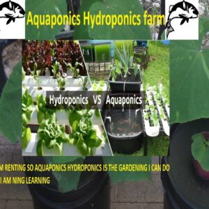 DIY hydroponics vertical (A-Frame) new planting