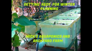 Getting  redy  for winter  planning  of the Aquaponic System