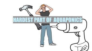 Hardest Part of Learning Aquaponics | Ask The Aquaponics God Ep1