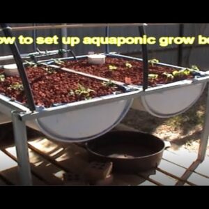 How to build a aquaponic grow bed