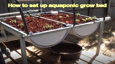 How to build a aquaponic grow bed