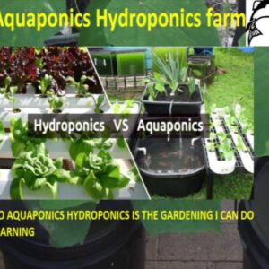 How To Build an Aquaponic diy strawberry barrel