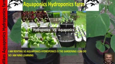 How To Build an Aquaponic diy strawberry barrel