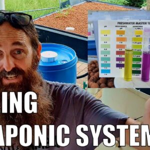 How to Cycle An Aquaponics System