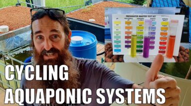 How to Cycle An Aquaponics System