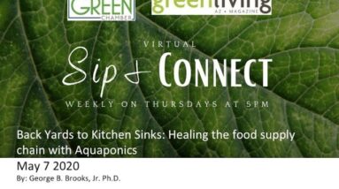 5/7/20 Backyards to Kitchen Sinks: Aquaponics Presentation for the Arizona Green Chamber of Commerce