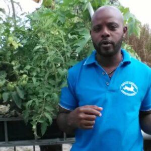 Introducing Seans Rabbitry & Aquaponic Produce - Part 1