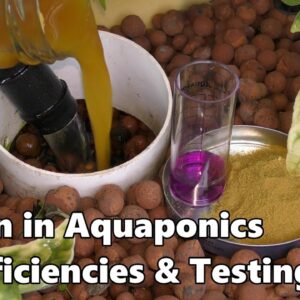 Iron in Aquaponics | Deficiencies Testing & Chelated Iron