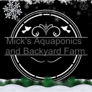 Merry Christmas Aquaponic update 26/12/2020