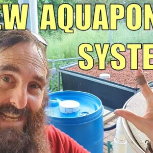 NEW Aquaponics System 🌱🐟 & Viewers Questions