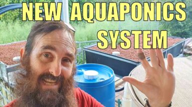 NEW Aquaponics System 🌱🐟 & Viewers Questions