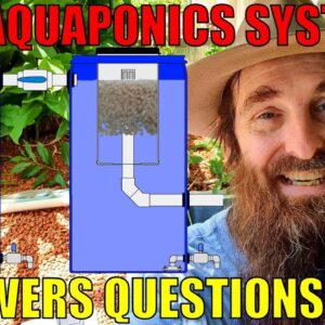 New Aquaponics System Layout & Viewers Questions