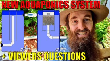 New Aquaponics System Layout & Viewers Questions