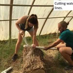 How we built an Easy Low Cost DIY NxT Generation Aquaponics system from a Kiddie Pool in 3 Hours.