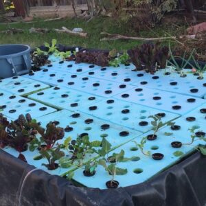 How we grow 400 pounds of our food in a Kiddie Pool: 3-Hour Farm DIY Aquaponics Update #1.