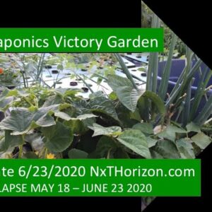 UPDATE 6:23:2020 AQUAPONICS VICTORY GARDEN DEMONSTRATION TIME LAPSE 5 -18 - 2020 TO 6 - 23 - 20