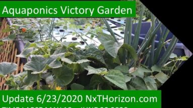 UPDATE 6:23:2020 AQUAPONICS VICTORY GARDEN DEMONSTRATION TIME LAPSE 5 -18 - 2020 TO 6 - 23 - 20