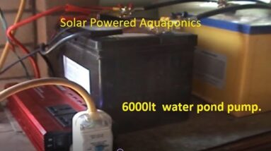 Solar Powered Aquaponics With A 6000LT/H PUMP