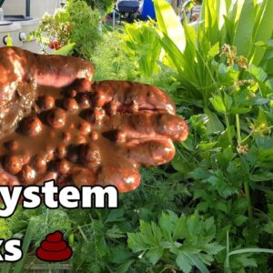 Solids in Aquaponic Grow Beds | Rising pH | Denitrification | Cleaning MUCK