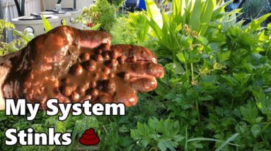 Solids in Aquaponic Grow Beds | Rising pH | Denitrification | Cleaning MUCK