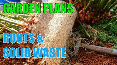 Solids In Aquaponics Grow Beds, Garden Design, & Slugs | An Outtakes Clip