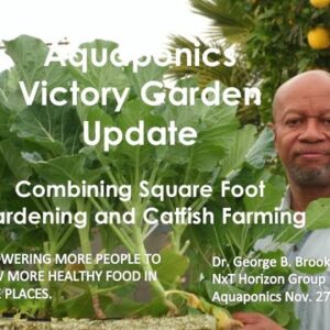 11:27:2020-Combining Square Foot Gardening & Catfish Farming Aquaponics Victory Garden Update