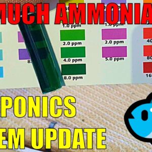 Aquaponics System Cycling | Lock Down is Here & Dealing with Ammonia Spike, Falling pH