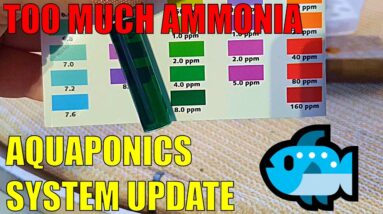 Aquaponics System Cycling | Lock Down is Here & Dealing with Ammonia Spike, Falling pH