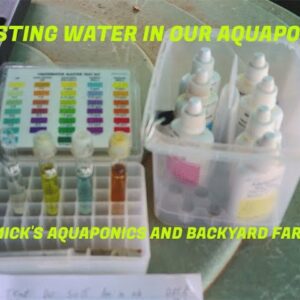 Testing Water In Our Aquaponic System